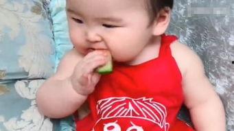 二儿子吃瓜,揭秘瓜农家庭的生活点滴