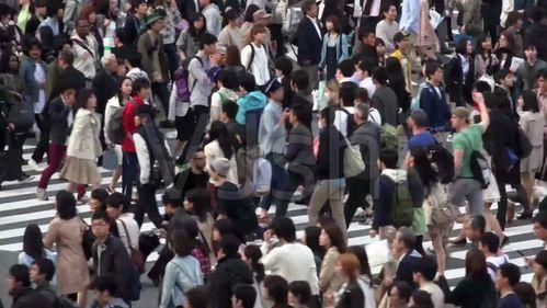 跳河女孩吃瓜,揭开背后惊人真相