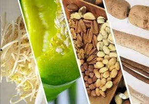 春吃芽夏吃瓜冬天吃根,春芽夏瓜冬根，顺应时节养生之道