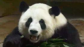 吃瓜囡囡,揭秘娱乐圈背后的那些事儿